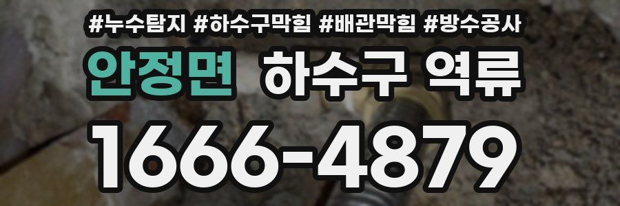 안정면 하수구 역류