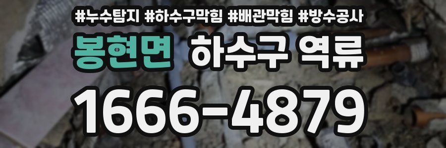 봉현면 하수구 역류