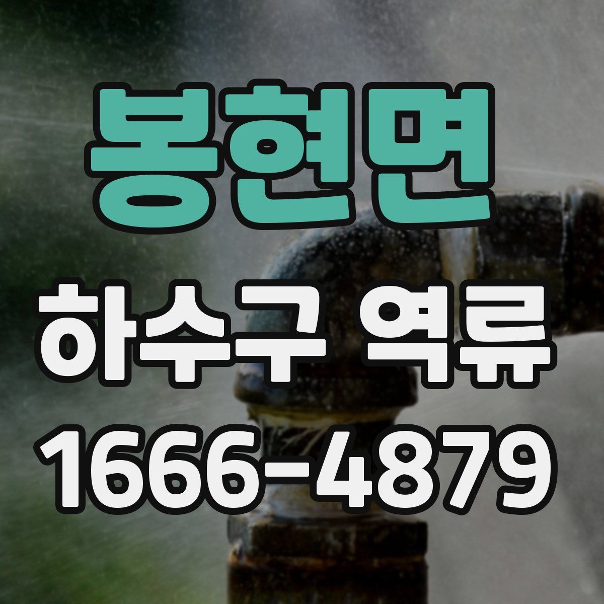 봉현면 하수구 역류
