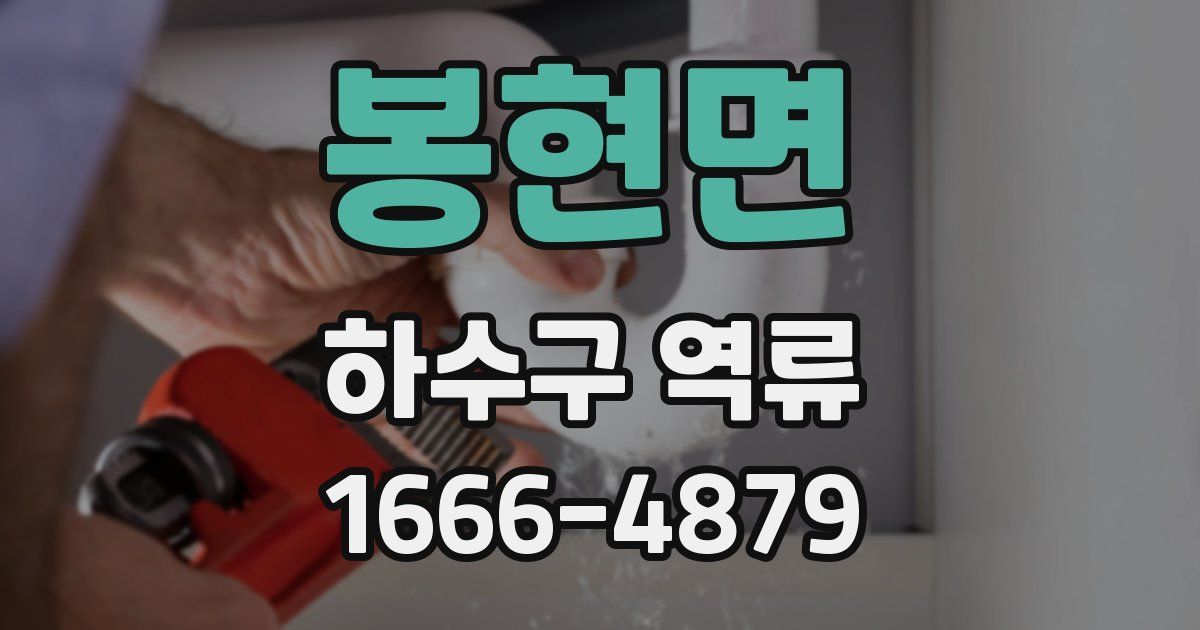 봉현면 하수구 역류
