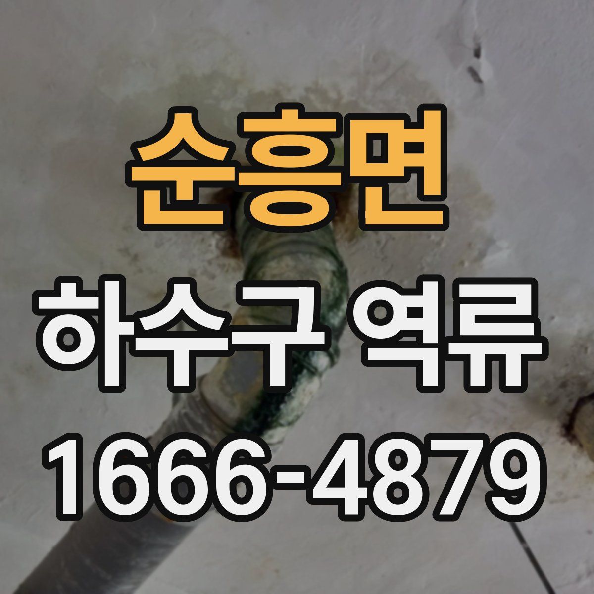 순흥면 하수구 역류