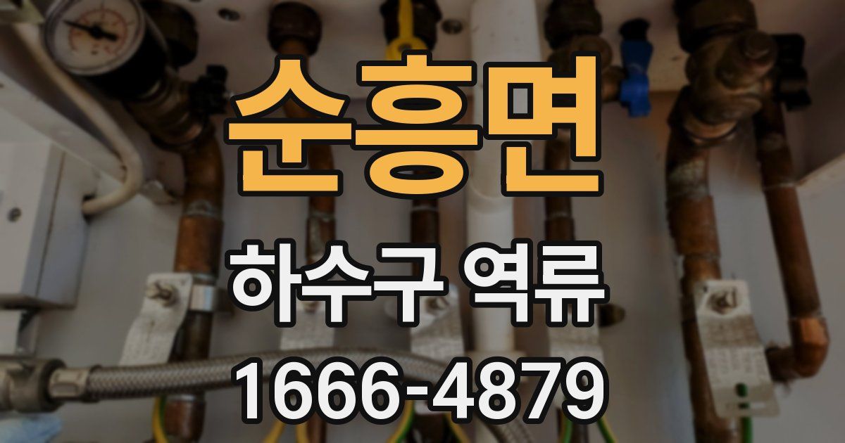 순흥면 하수구 역류