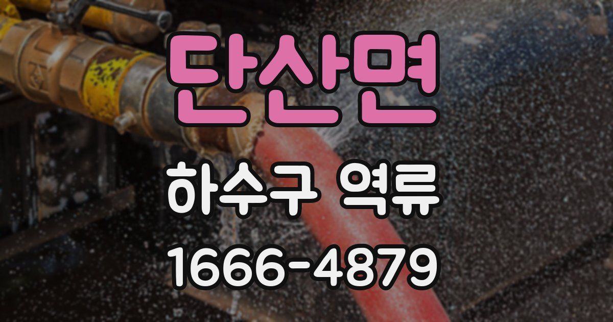 단산면 하수구 역류