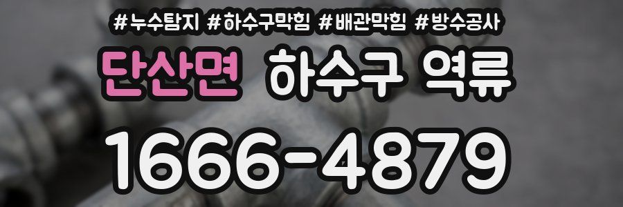 단산면 하수구 역류