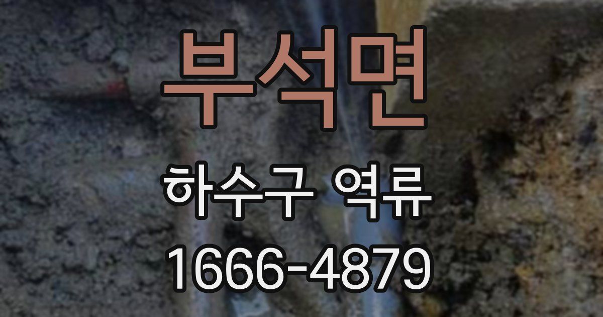 부석면 하수구 역류