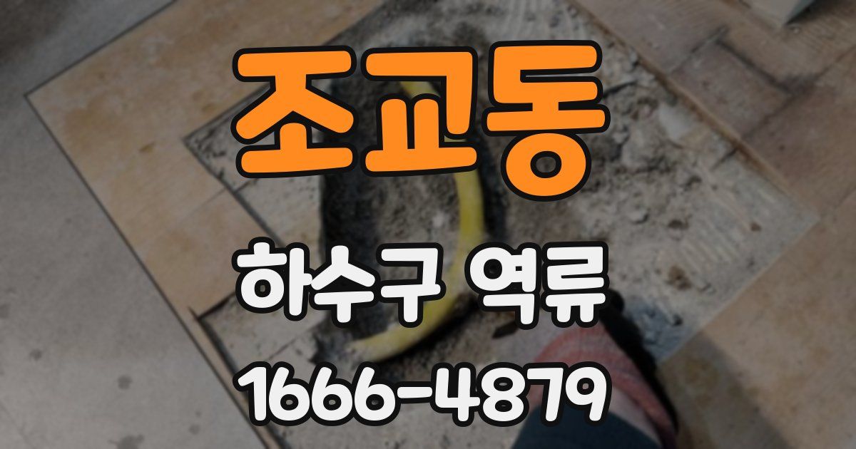 조교동 하수구 역류