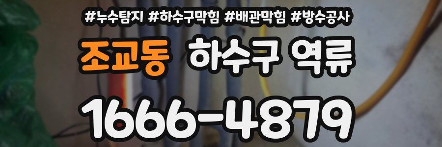 조교동 하수구 역류