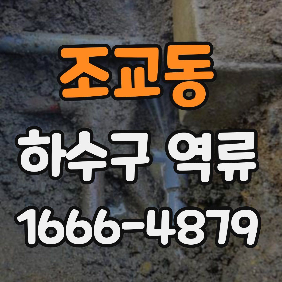 조교동 하수구 역류