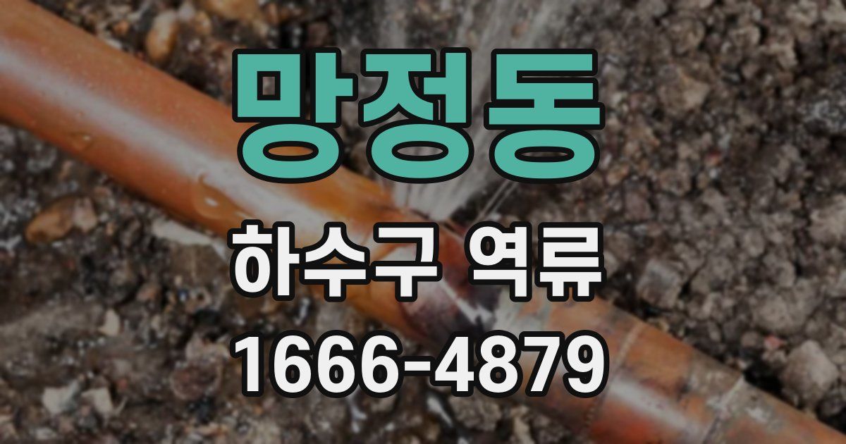 망정동 하수구 역류