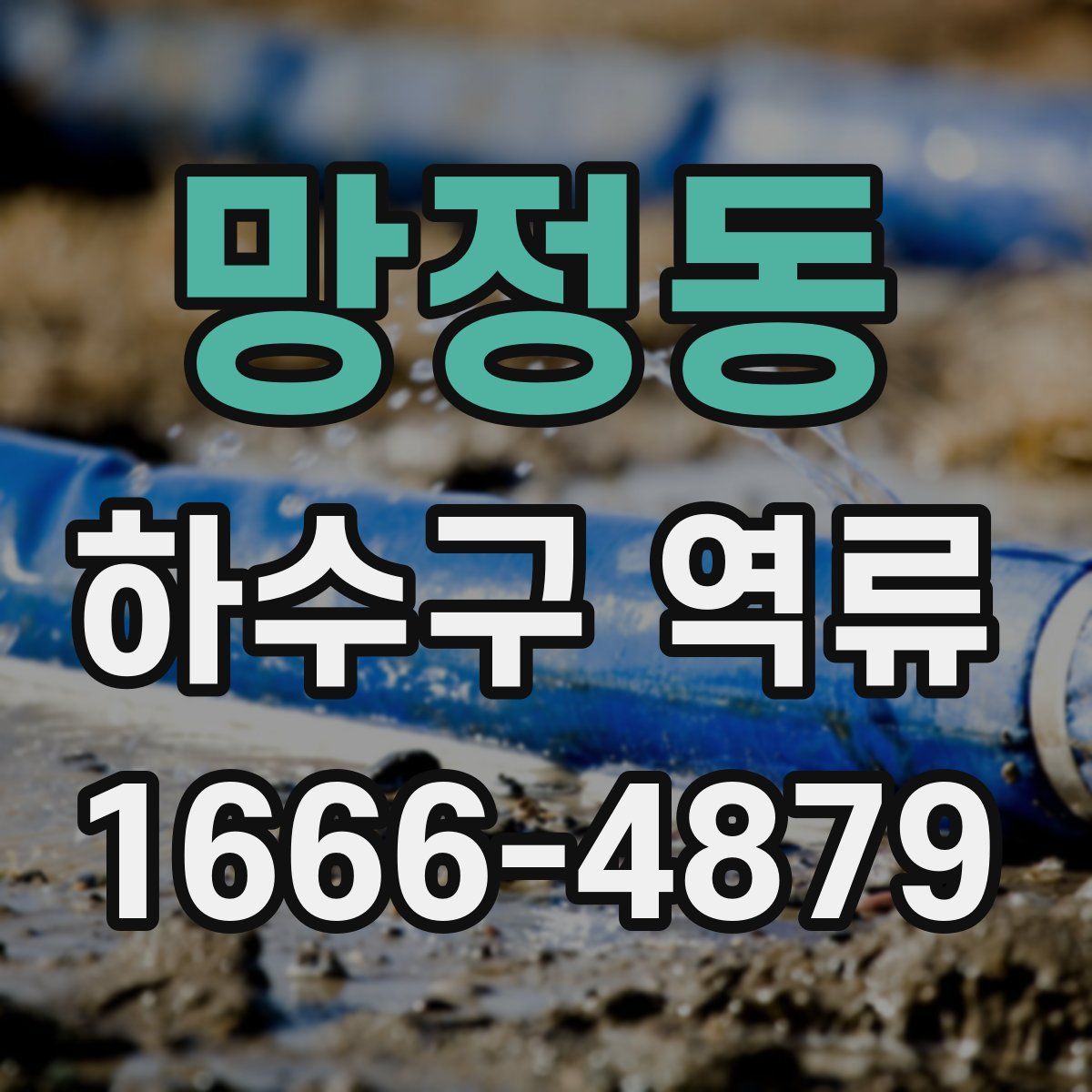 망정동 하수구 역류