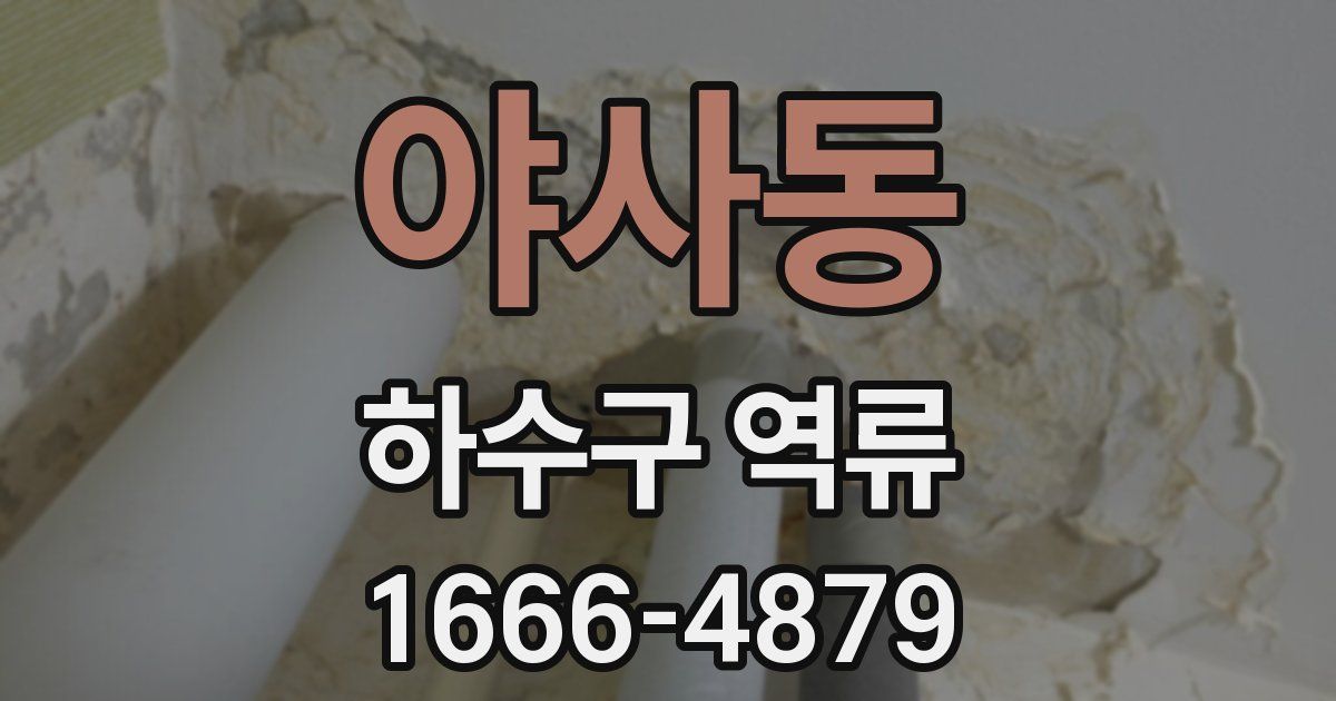 야사동 하수구 역류