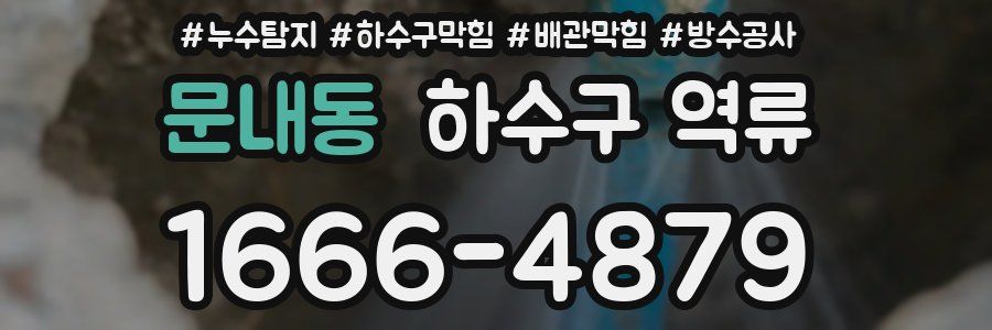 문내동 하수구 역류