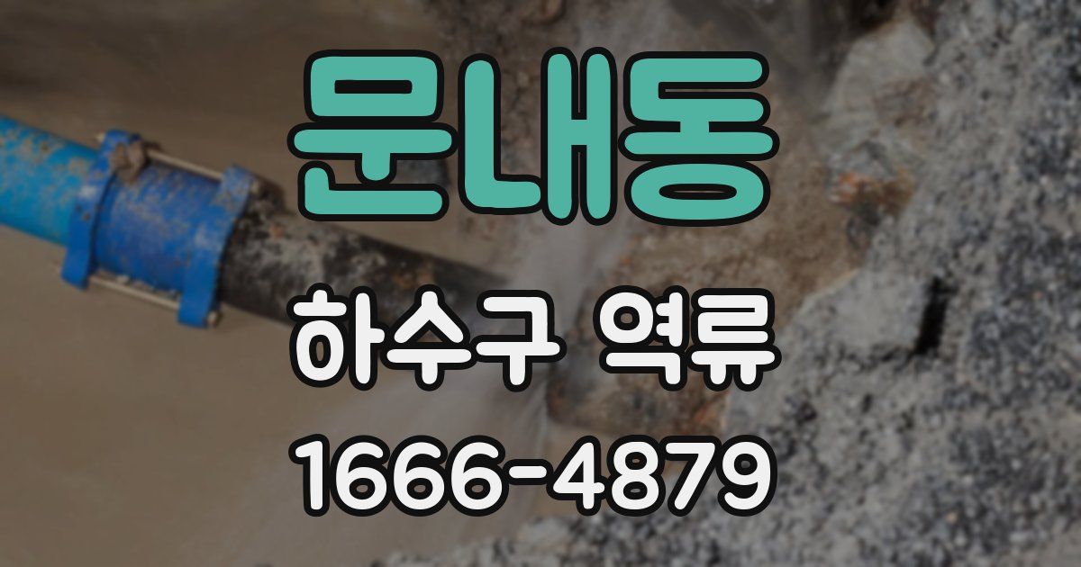 문내동 하수구 역류