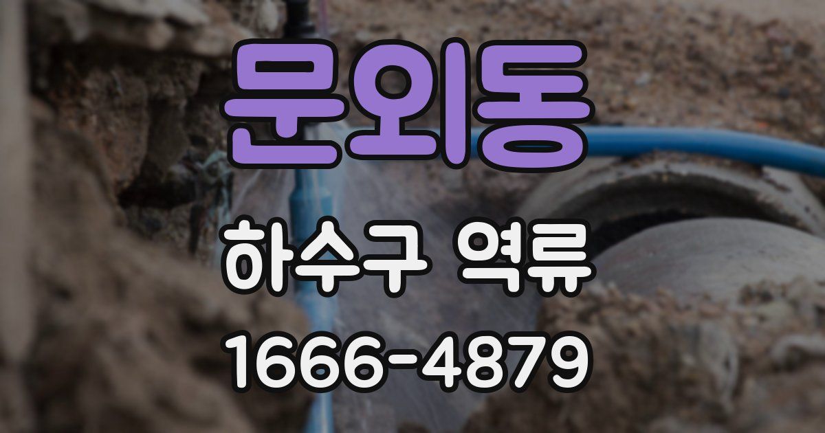 문외동 하수구 역류