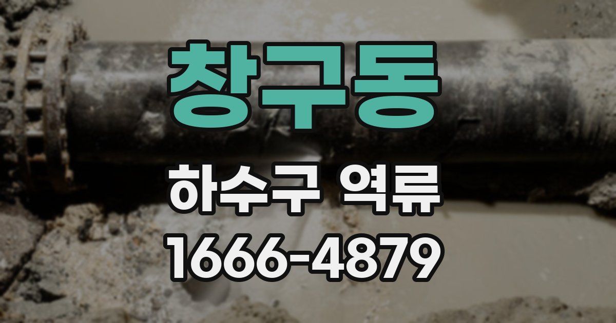 창구동 하수구 역류