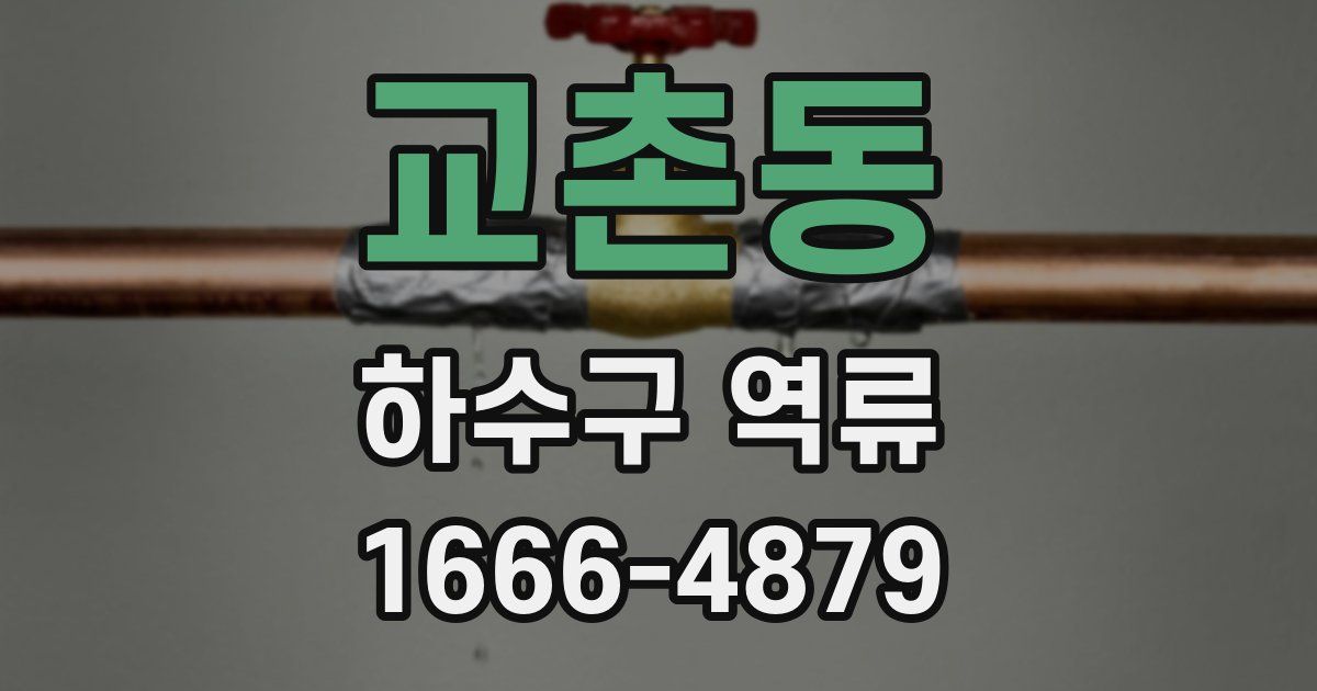 교촌동 하수구 역류
