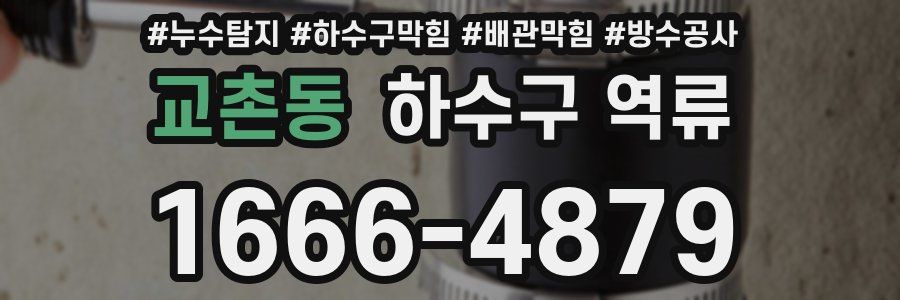 교촌동 하수구 역류