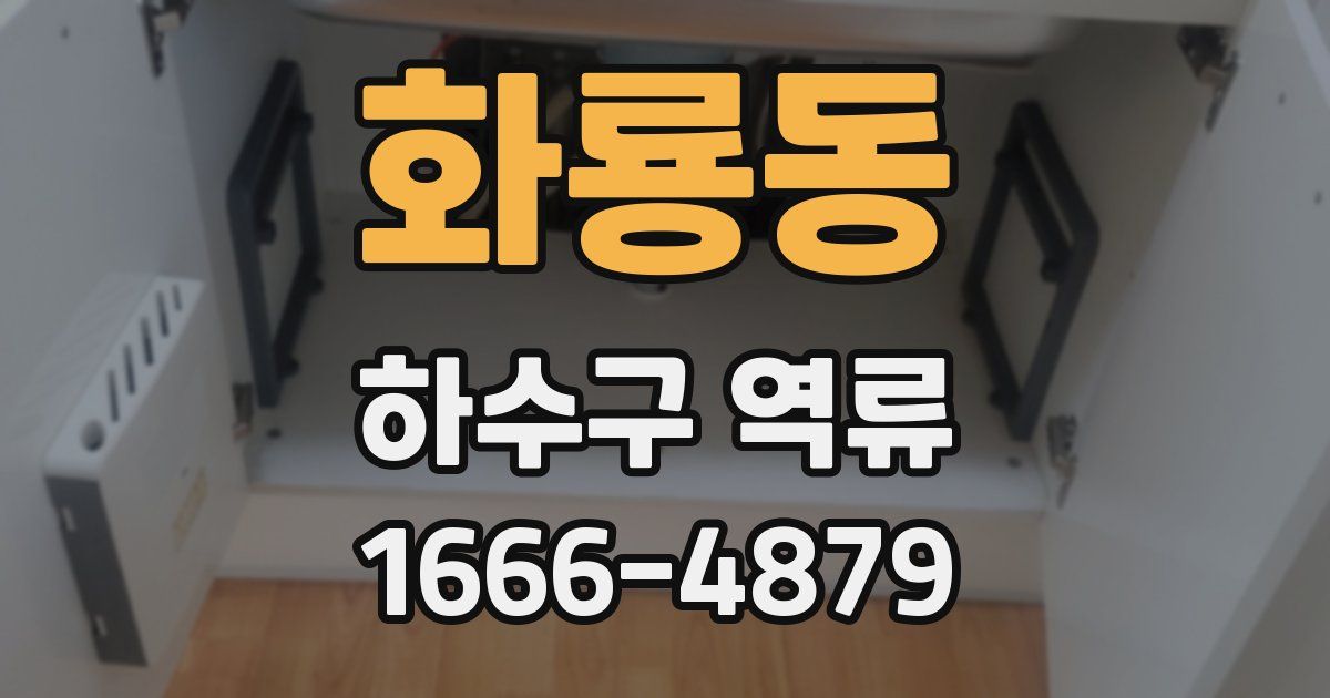 화룡동 하수구 역류