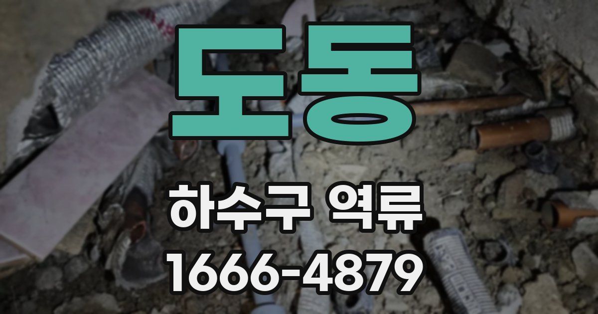 도동 하수구 역류