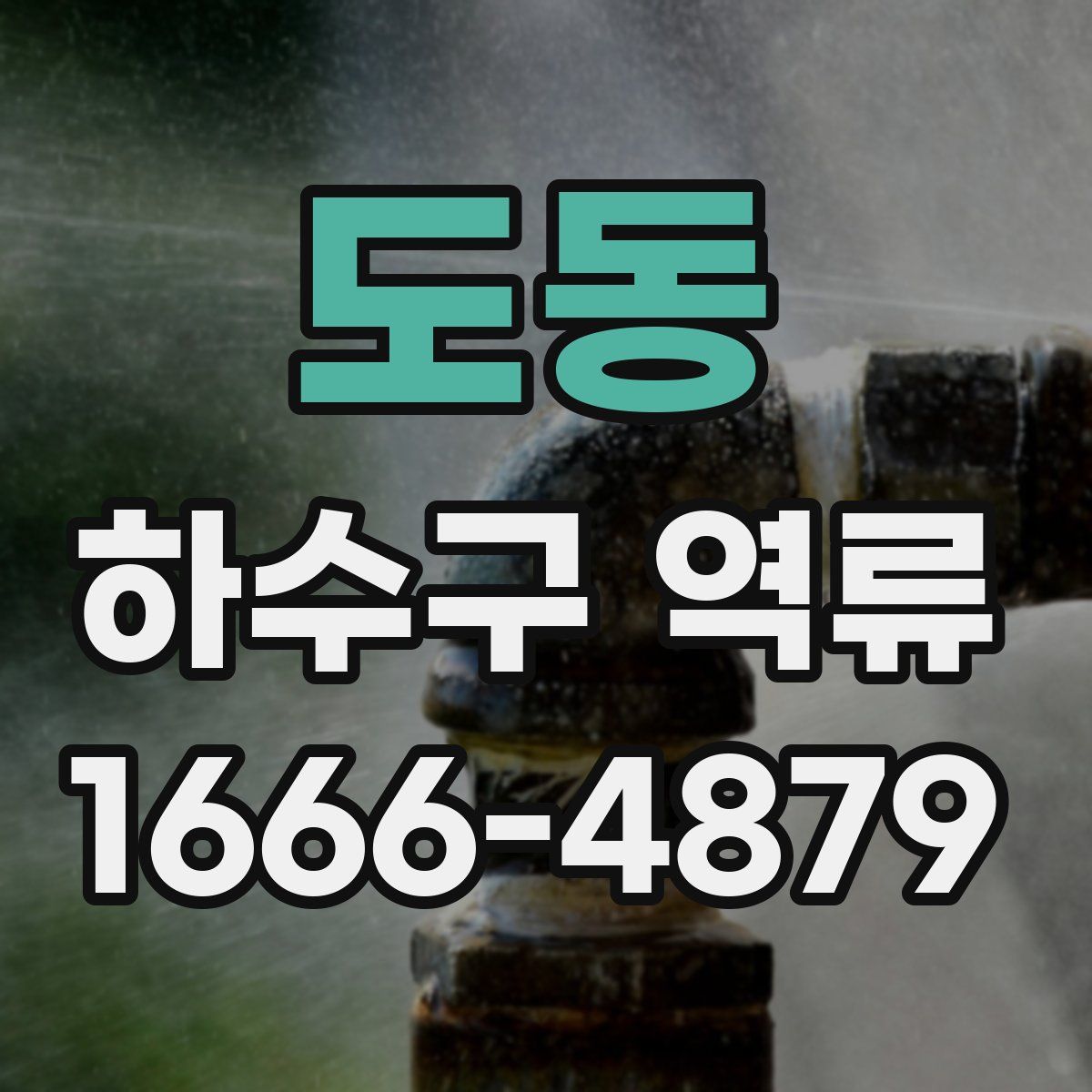 도동 하수구 역류