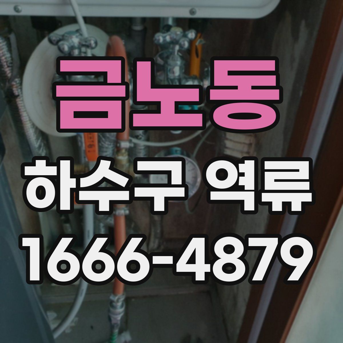 금노동 하수구 역류