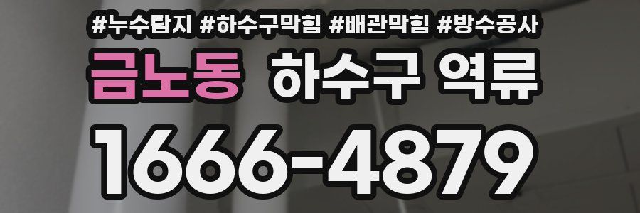 금노동 하수구 역류