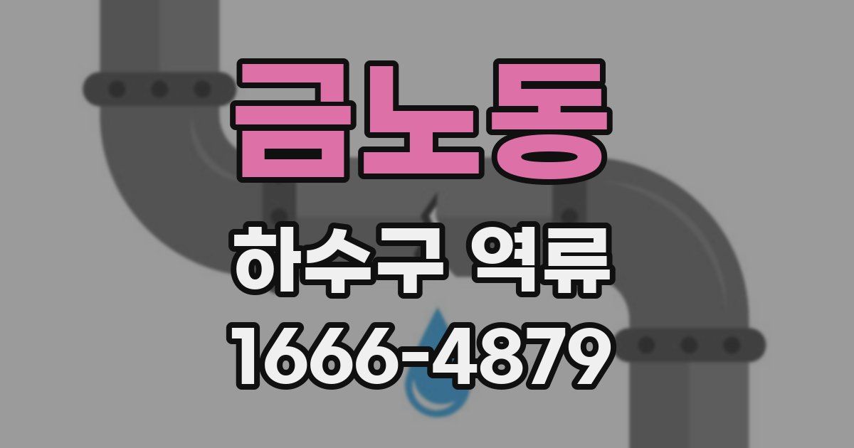 금노동 하수구 역류