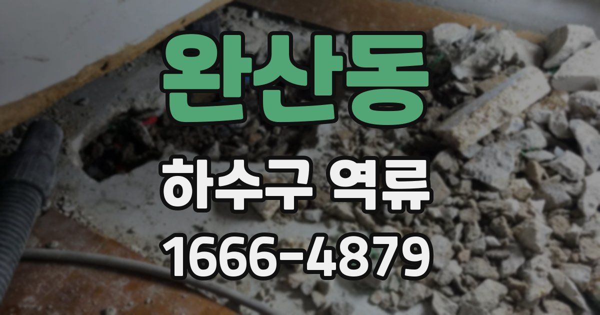 완산동 하수구 역류