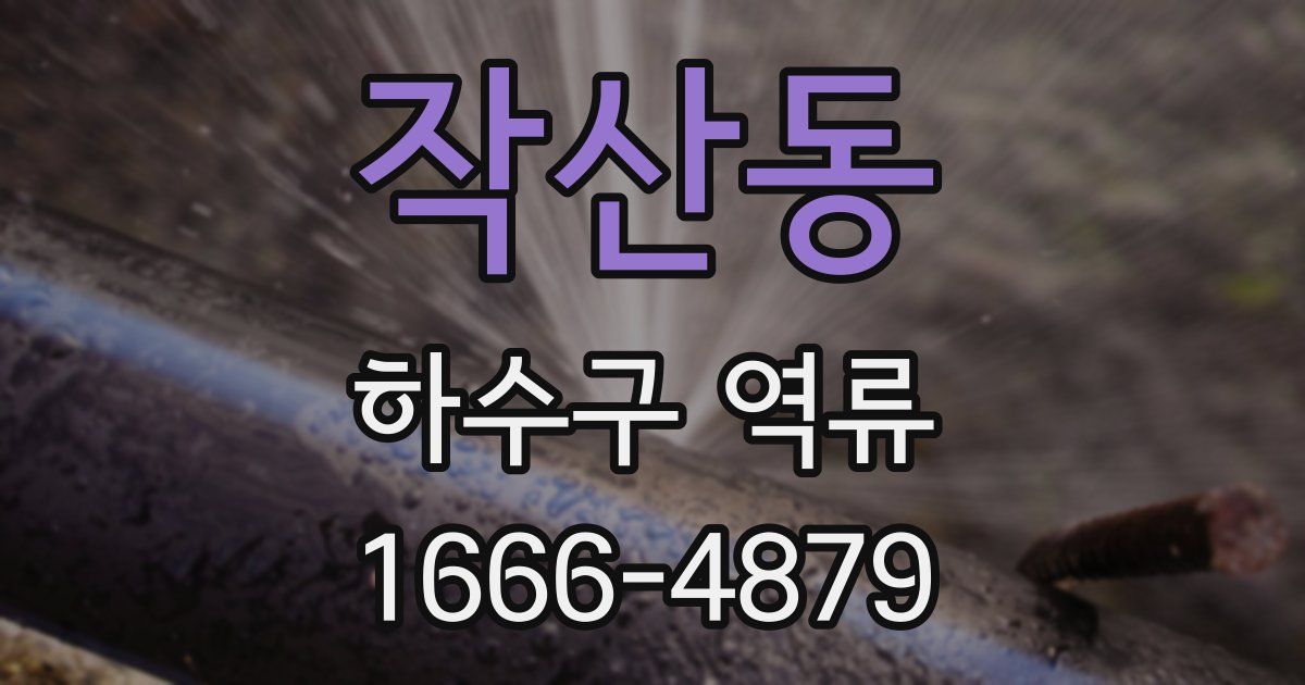 작산동 하수구 역류
