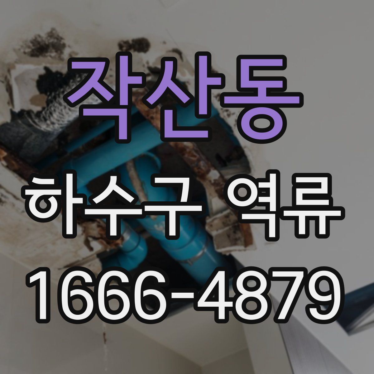작산동 하수구 역류