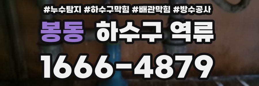 봉동 하수구 역류
