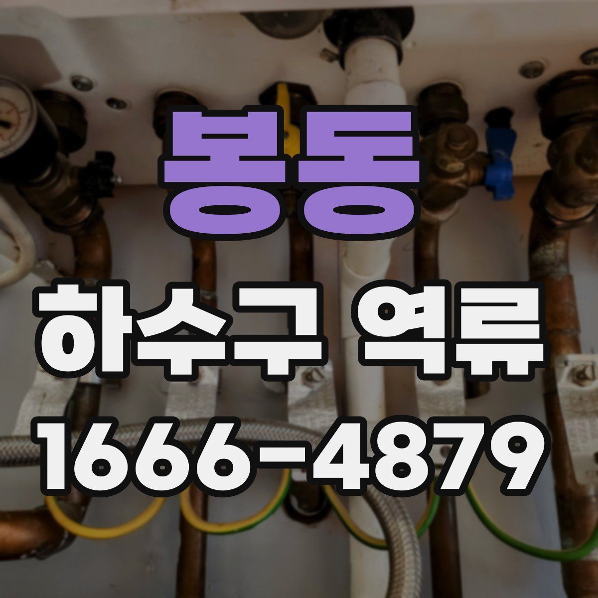 봉동 하수구 역류