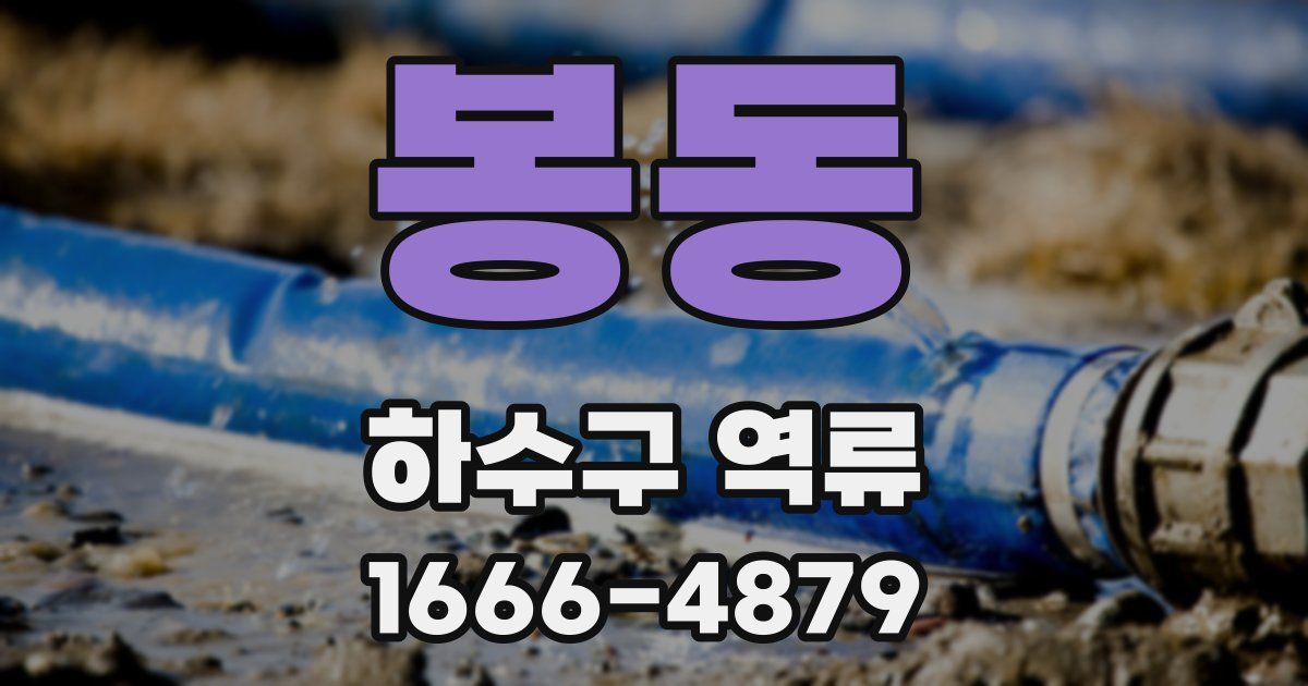 봉동 하수구 역류