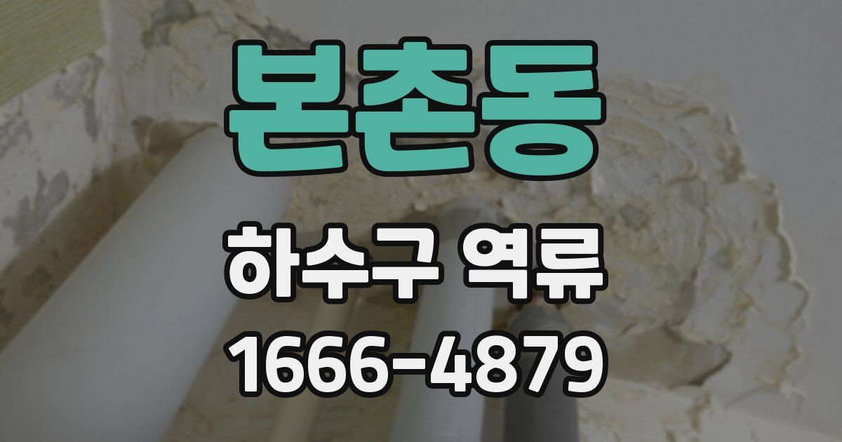 본촌동 하수구 역류