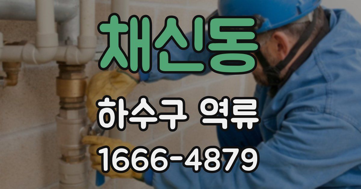 채신동 하수구 역류