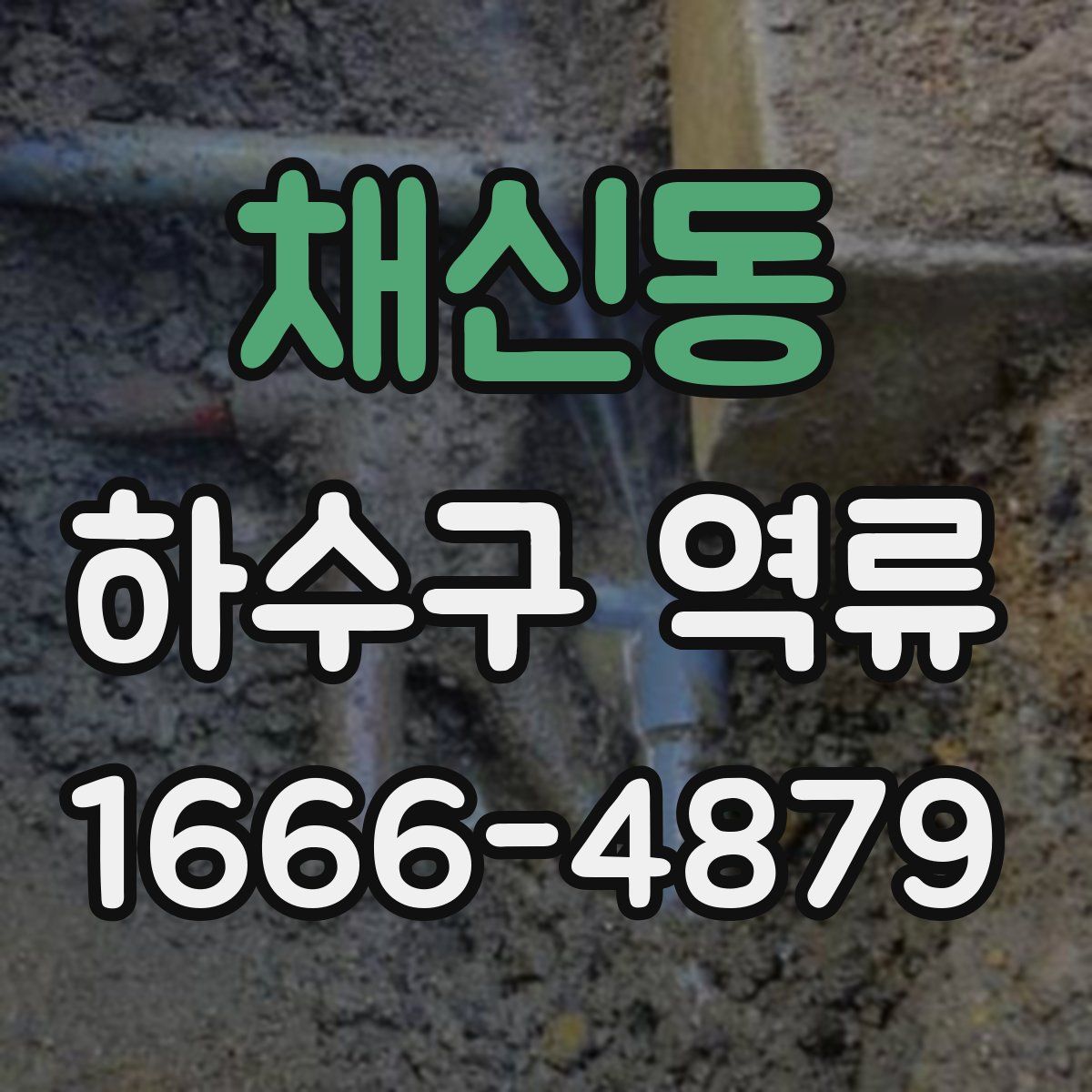 채신동 하수구 역류