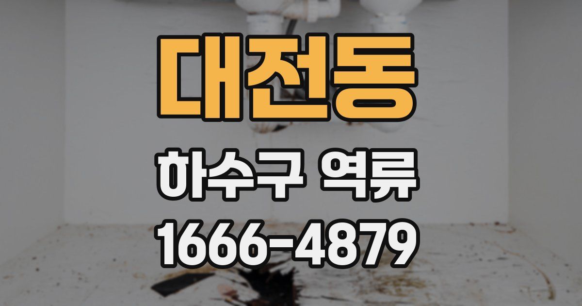 대전동 하수구 역류