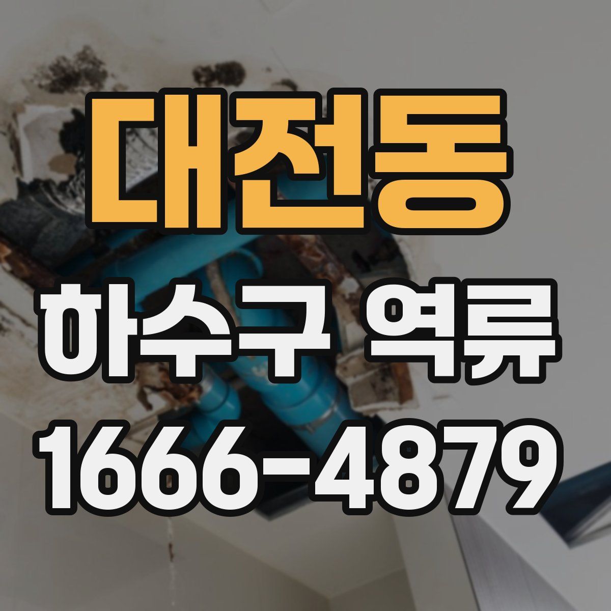 대전동 하수구 역류
