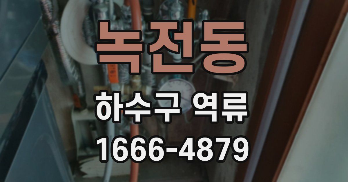 녹전동 하수구 역류