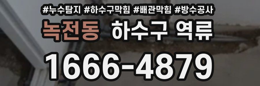 녹전동 하수구 역류