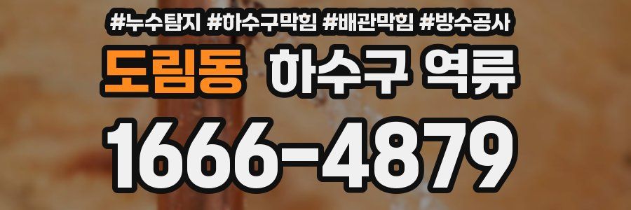 도림동 하수구 역류