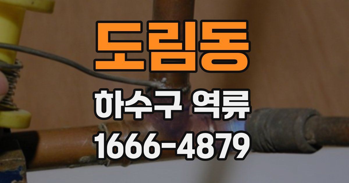 도림동 하수구 역류