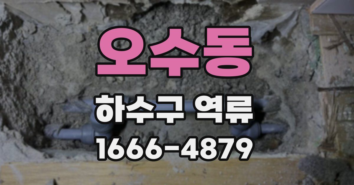 오수동 하수구 역류