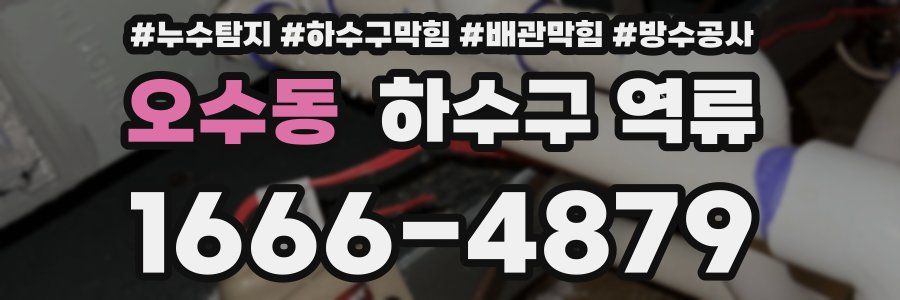 오수동 하수구 역류