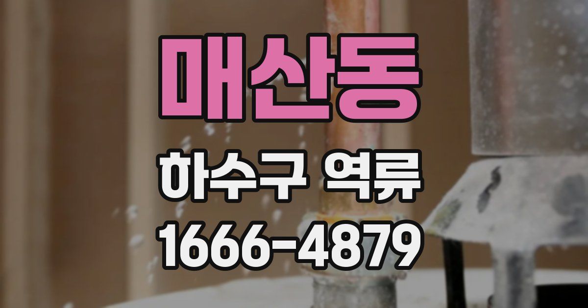 매산동 하수구 역류