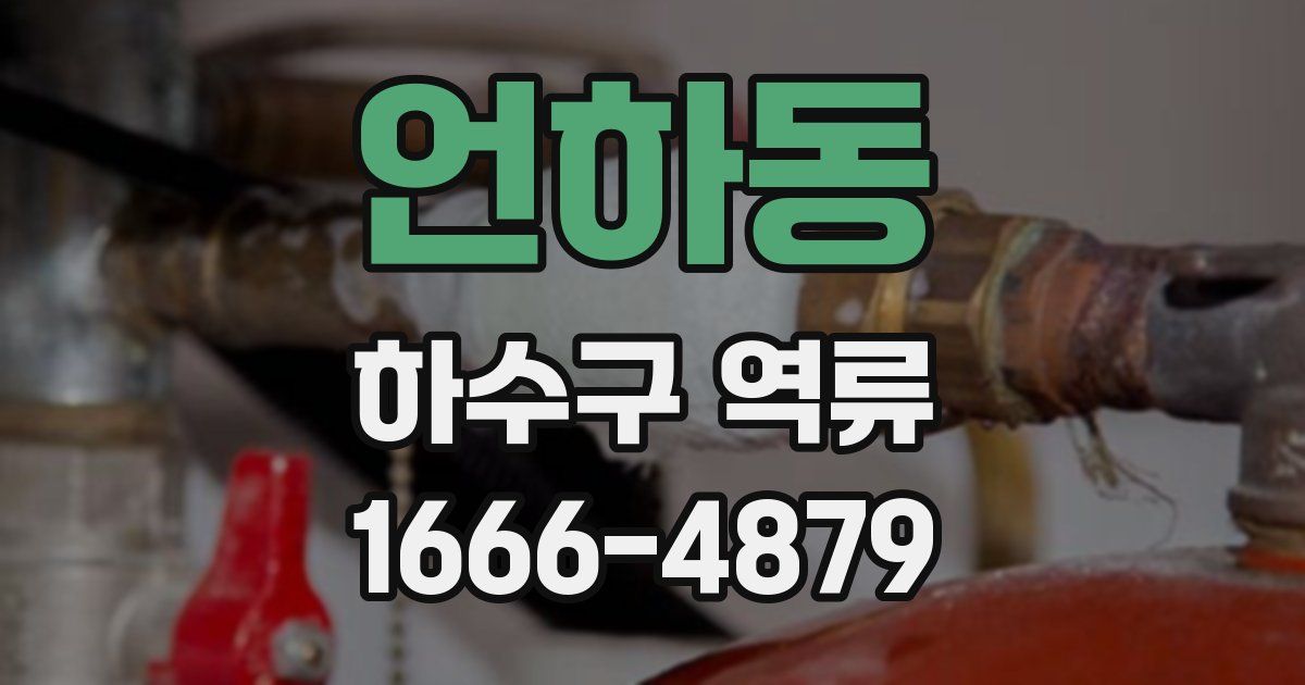 언하동 하수구 역류
