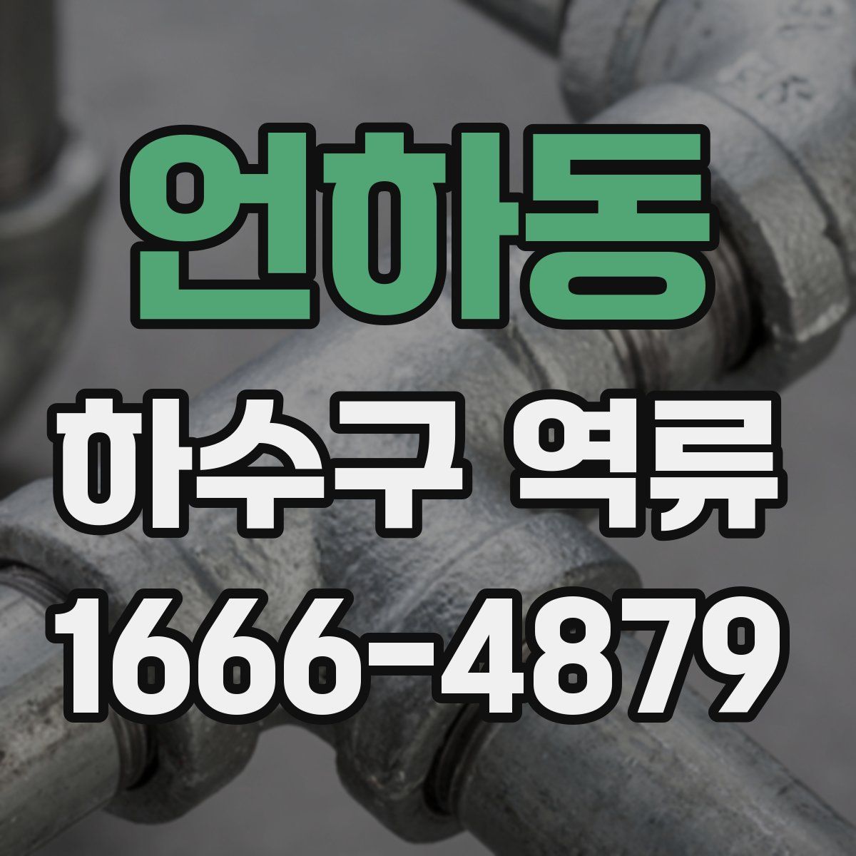 언하동 하수구 역류
