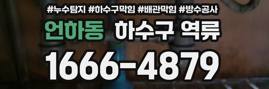 언하동 하수구 역류