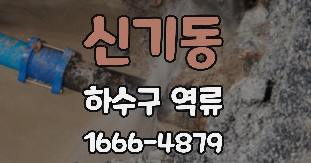 신기동 하수구 역류