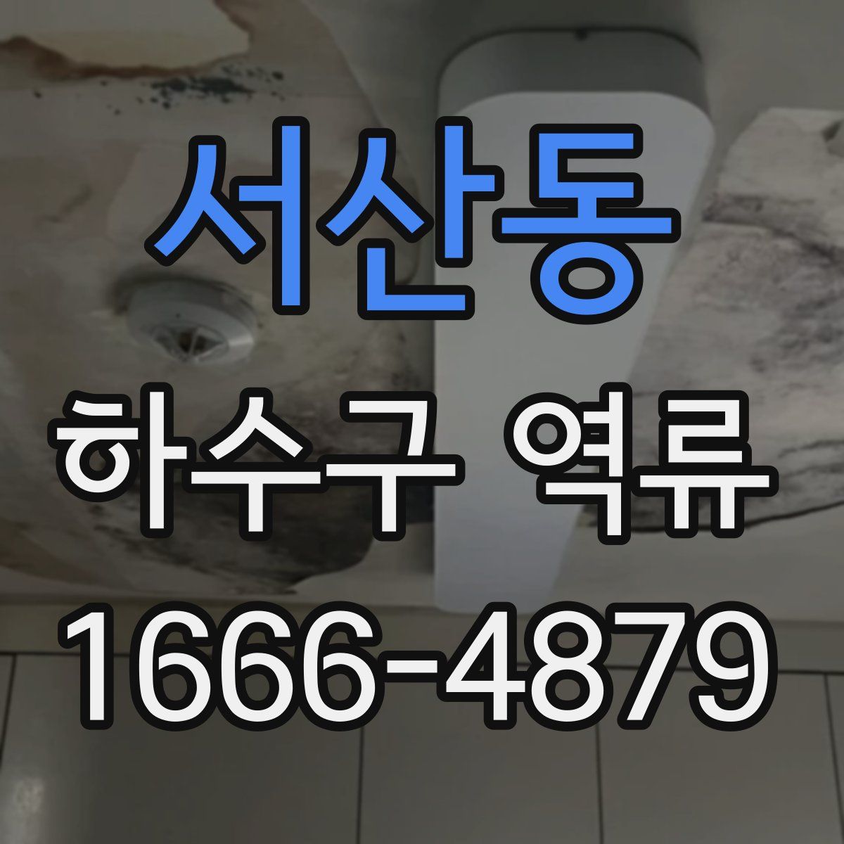 서산동 하수구 역류